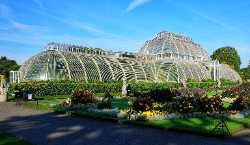 Kew Gardens