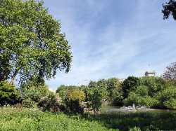 St James's Park
