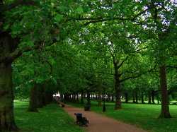 Green Park