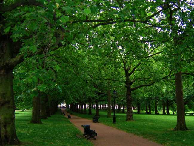 Green Park
