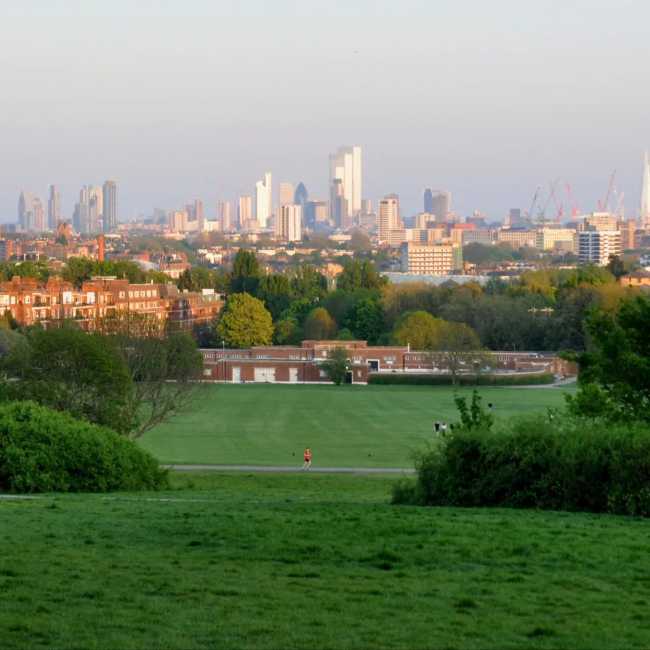 Hampstead Heath