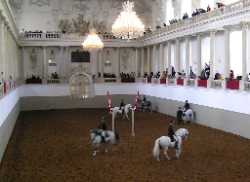 Spanish Riding School