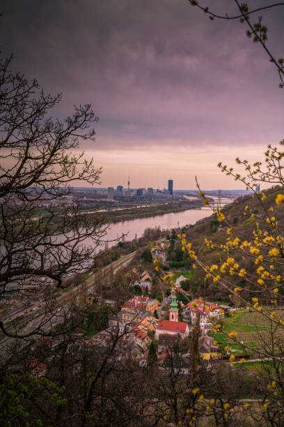 Kahlenberg
