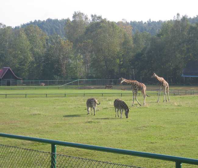 Gdańsk Zoo
