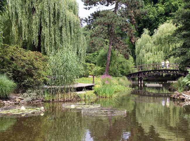Botanical Garden of the University of Wrocław