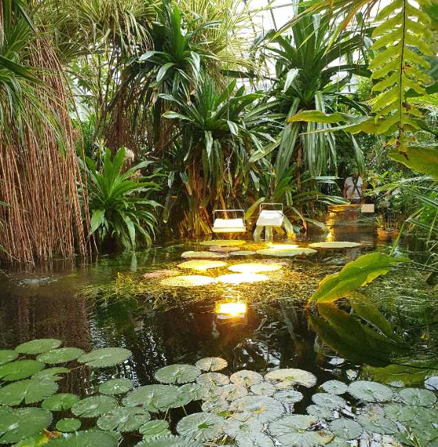 Palmiarnia Poznańska