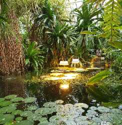 Palmiarnia Poznańska