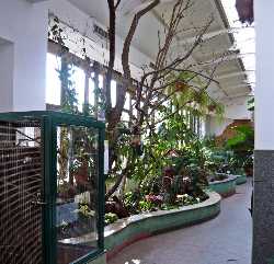 Ogrod Zoobotaniczny w Toruniu