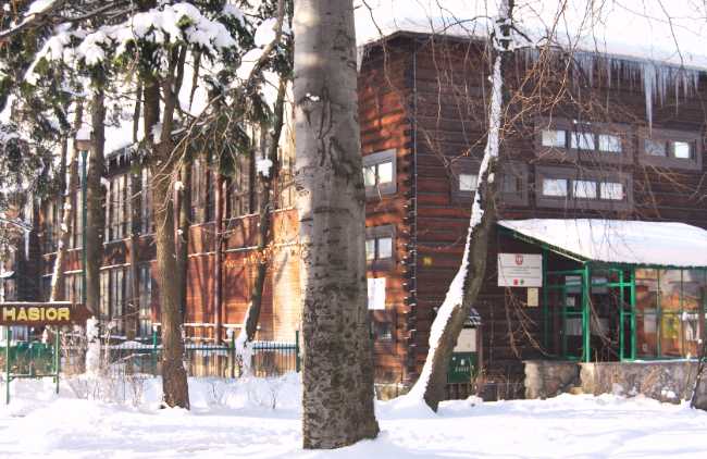 Władysław Hasior Gallery