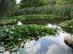 Botanical Garden in Łódź