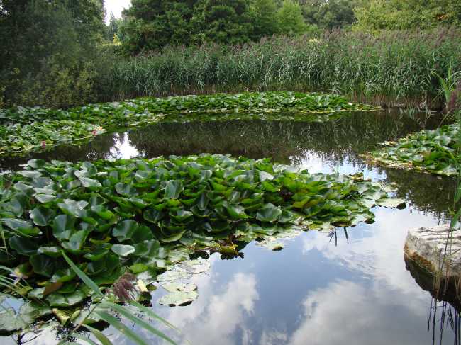 Botanical Garden in Łódź