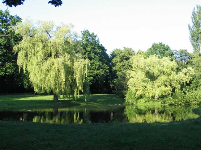 Źródliska Park