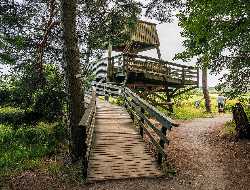 Laajalahti Birdwatching Tower