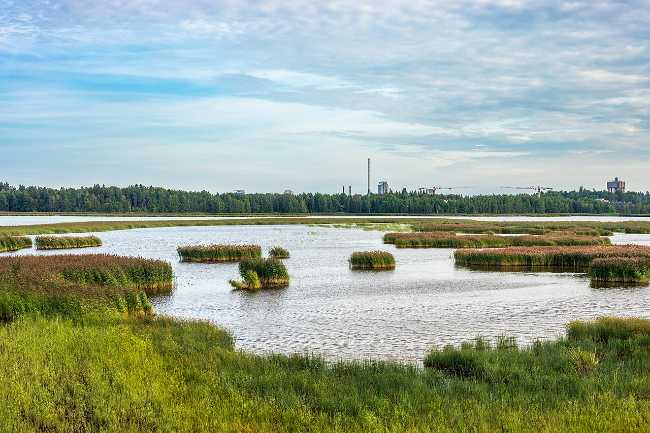 Laajalahti Nature Reserve