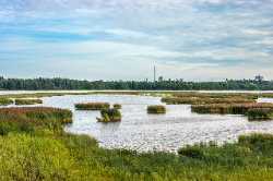 Laajalahti Nature Reserve