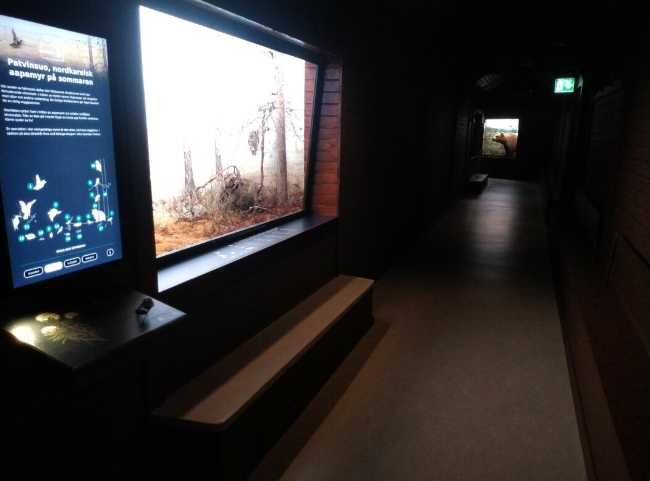 Turku Biological Museum