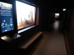 Turku Biological Museum