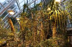 Botanical Garden of the University of Turku