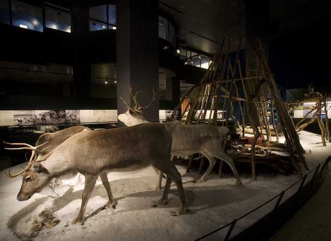 Regional Museum of Lapland
