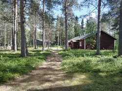 Lapland Forest Museum