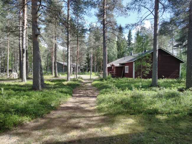 Lapland Forest Museum