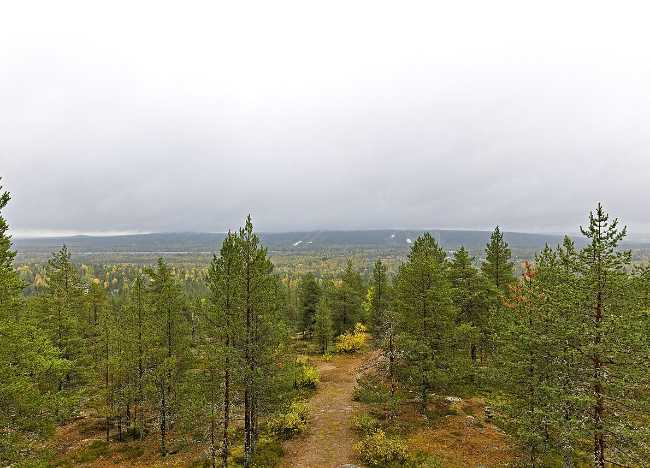 Syväsenvaara Observation Tower