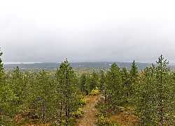 Syväsenvaara Observation Tower