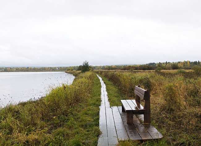 Koivusaari Nature Trail