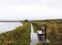 Koivusaari Nature Trail