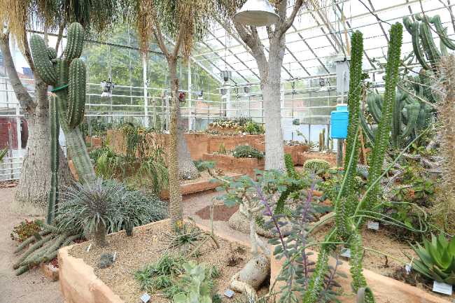 Gothenburg Botanical Garden