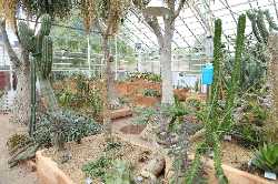 Gothenburg Botanical Garden