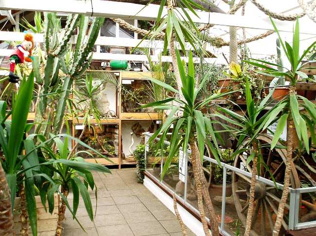 Malmös Reptile Center