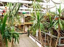 Malmös Reptile Center