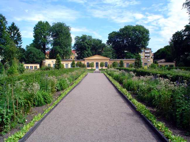 Linnaeus Garden