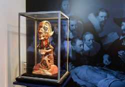 Medical History Museum in Helsingborg