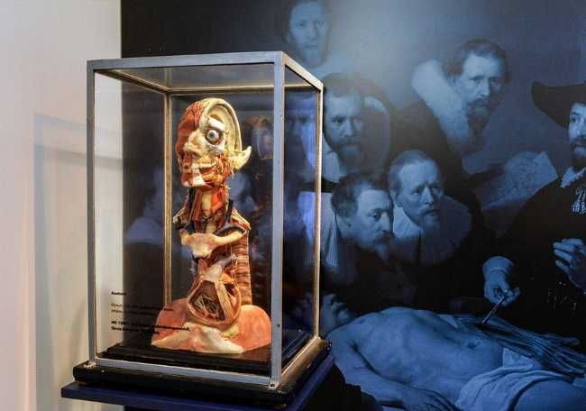Medical History Museum in Helsingborg