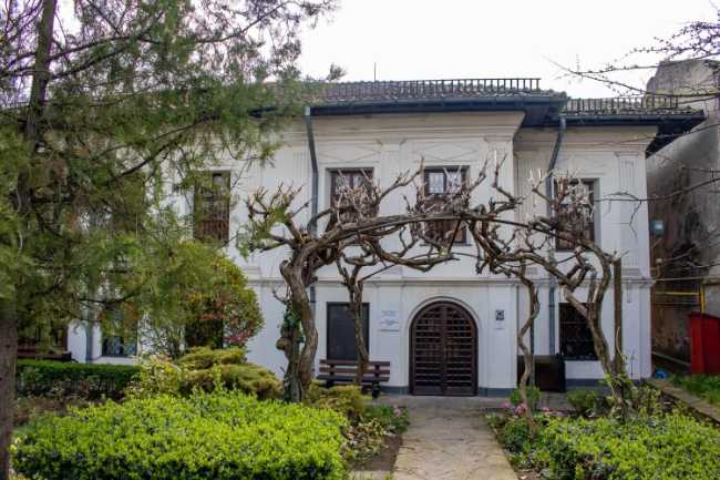 Theodor Pallady Museum