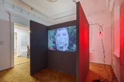 Anca Poterașu Gallery