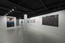 Mobius Gallery