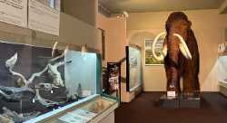 Natural Science Museum