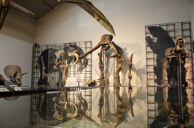 National Museum of Natural Sciences