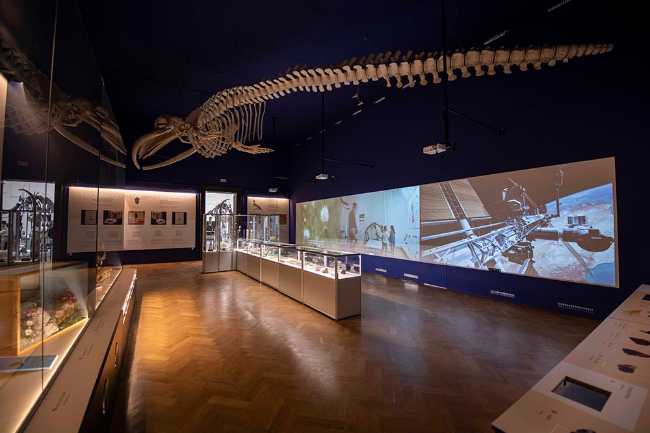 Slovenian Museum of Natural History