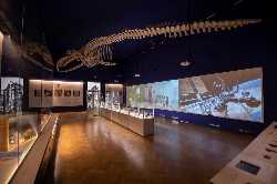 Slovenian Museum of Natural History