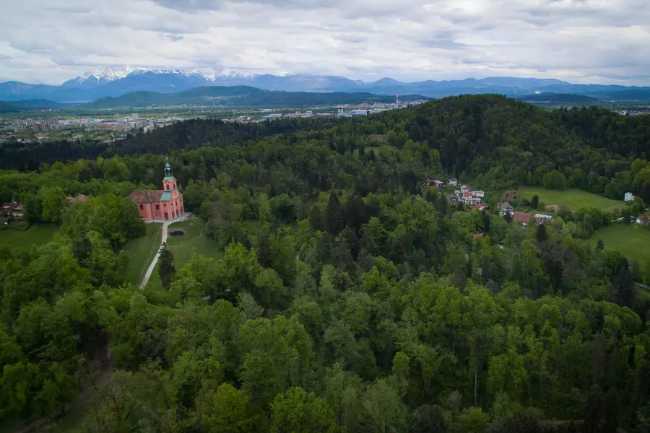 Rožnik