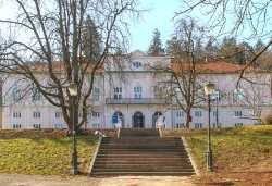 Cekinov grad