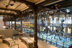 Royal Belgian institute of Natural Sciences