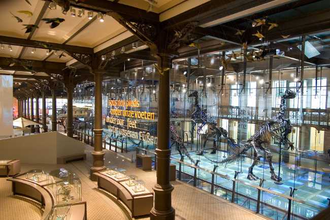 Royal Belgian institute of Natural Sciences