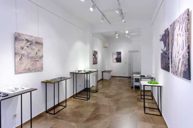 INTRO Gallery