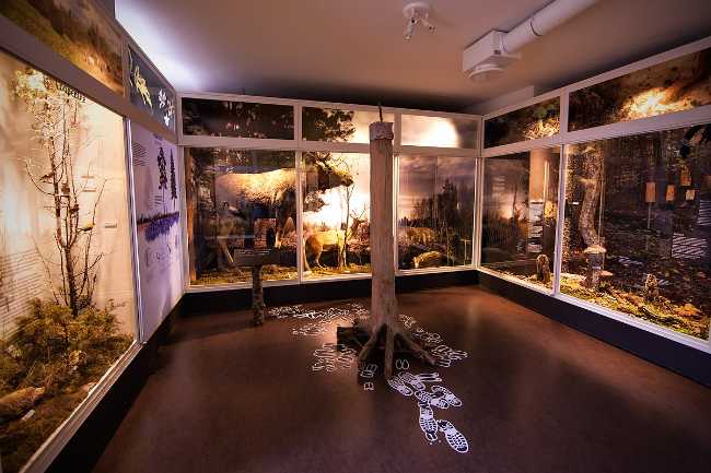 Estonian Museum of Natural History
