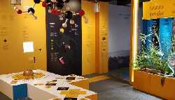 Estonian Health Museum